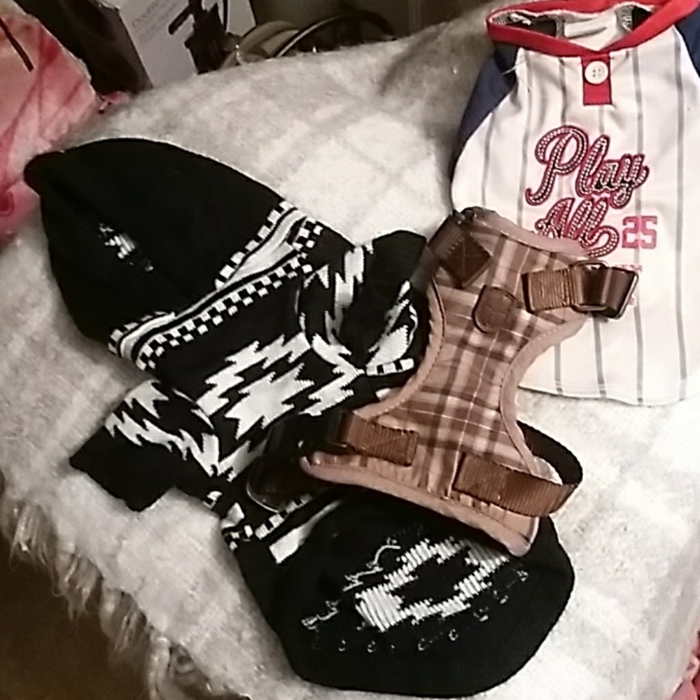 3 piece doggy lot